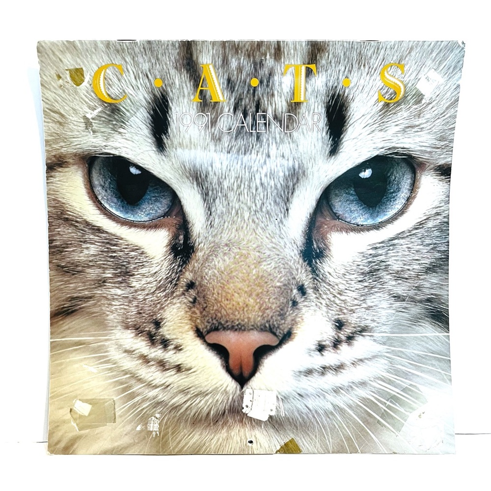 Vintage 1991 Cat Calendar Coles Kitten Kitty 12 Month Schedule Cute Nostalgic